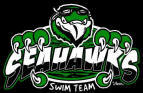 Seahawk Swim Team logo